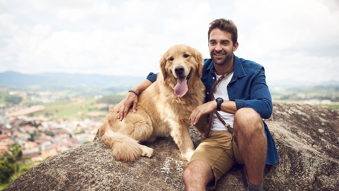 Best way to travel with best sale a dog